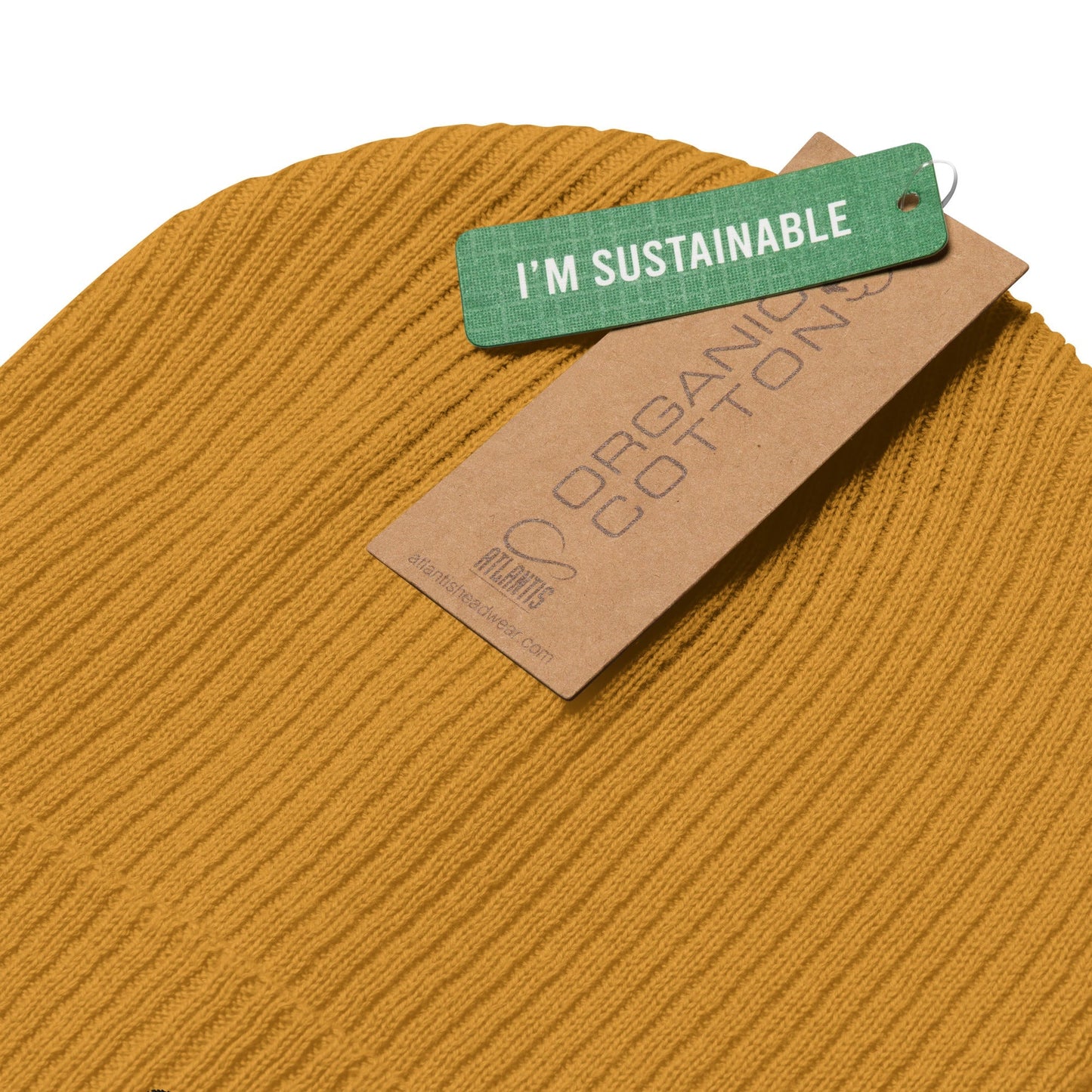 District Ribbed Beanie - BunnyBanky