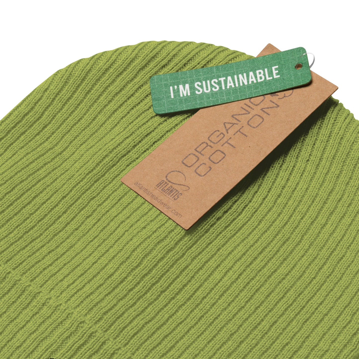 District Ribbed Beanie - BunnyBanky