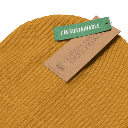District Ribbed Beanie - BunnyBanky