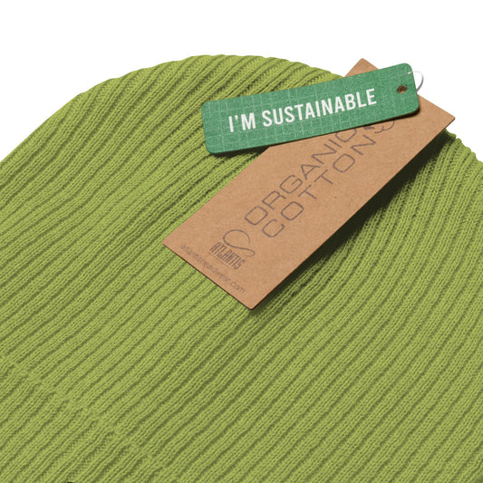 District Ribbed Beanie - BunnyBanky